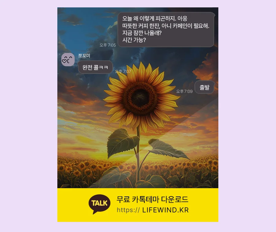 A Sunflower Field In The Sunset 카카오톡 테마 카톡테마 무료 다운로드