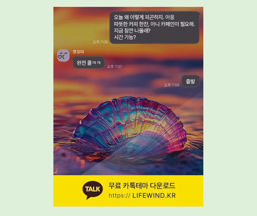 Iridescent Shells In The Setting Sun 카카오톡 테마 카톡테마 무료 다운로드