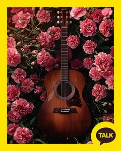 A Guitar Between Pink Carnations 카카오톡 테마 카톡테마 무료 다운로드